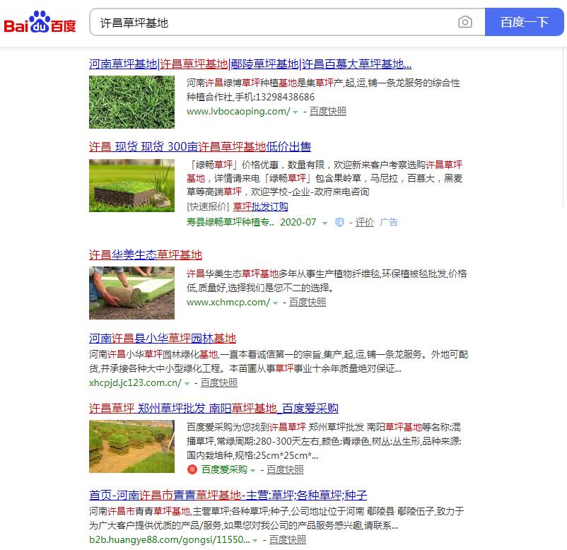 郑州网站优化